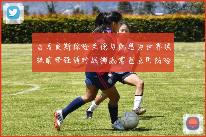 吉马良斯称哈兰德与凯恩为世界顶级前锋强调对战挪威需重点盯防哈兰德